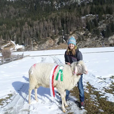 Ferienbauernhof Wendlshof Längenfeld