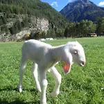 Agroturismo Ferienbauernhof Wendlshof